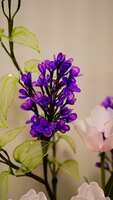 https://images.plurk.com/6FtBHCIpri8L1O30irTDWz.jpg