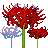 https://images.plurk.com/6Fuovn9bwmX3yzS4juIAyP.gif