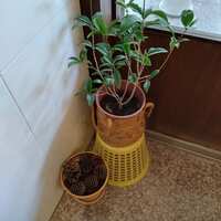 https://images.plurk.com/6G7pxAVEBWurPOeDqPibsW.jpg