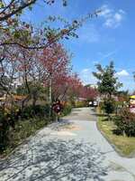 https://images.plurk.com/6G8F9Z7zS5FkQK4rFHckbX.jpg