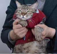 https://images.plurk.com/6GA2h7LpXPIKFuG8zwJ1kC.jpg