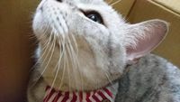 https://images.plurk.com/6GFWGdn6ECFEFx2WPfoitj.jpg