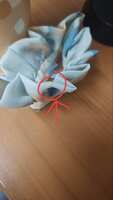 https://images.plurk.com/6GQkdR5ApB69I3sxB91J5T.jpg