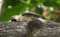 https://images.plurk.com/6GXa23ogCQn0D86YhzhFDj.jpg