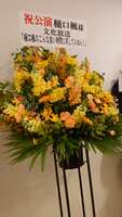 https://images.plurk.com/6GYnWie35GLgY10tgm8pLL.jpg