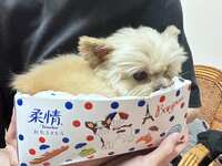 https://images.plurk.com/6GaklWCgnLweBftXSA9eyL.jpg