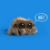 https://images.plurk.com/6GgbXvThHtLbR4CM8DdJmn.png