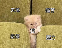 https://images.plurk.com/6GjSQwAt0LVWWVLRgrlh15.jpg