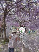 https://images.plurk.com/6GpWoXRu7SPLlD7mGHU14e.jpg