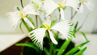 https://images.plurk.com/6GtuRyfEKWQChObeN04O3Q.jpg