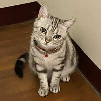 https://images.plurk.com/6GwI1gAPzppStTnXQEgwyP.jpg