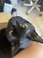 https://images.plurk.com/6GwWGXjIla5GJe3aQCqGtn.jpg