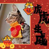 https://images.plurk.com/6GwfgFq3QcWYvYgvtC0LzL.jpg