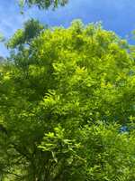 https://images.plurk.com/6GzLU977gApusrFZ3NZrA6.jpg