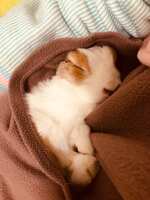 https://images.plurk.com/6H6ibZjJhWkBmJdzBBsNWH.jpg