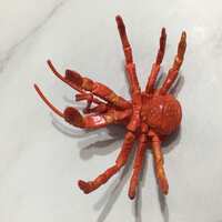 https://images.plurk.com/6HBBw0YZ15pSVivB9t2Qns.jpg
