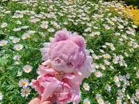 https://images.plurk.com/6HBf8H7uajBvelqwYTJNp1.jpg