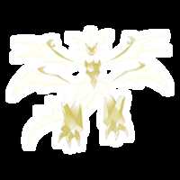 https://images.plurk.com/6HDvzFJkE3WISWQkLqkiAw.png