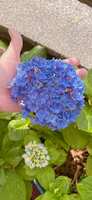 https://images.plurk.com/6HJdXeYTcvMysIsMwE1MFh.jpg