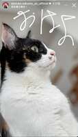 https://images.plurk.com/6HKjl9UOzXynaew0vvyDwG.png