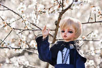 https://images.plurk.com/6HOlpoxbVh5lbKinwA36wN.jpg