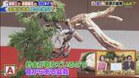 https://images.plurk.com/6HTGxiuJTkenr4DB5Tq3Td.png