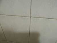 https://images.plurk.com/6HWiq1QbBG1xAXupiE33yH.jpg
