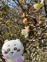 https://images.plurk.com/6HcO63dDGJScTA1pDgW2cn.jpg
