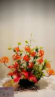 https://images.plurk.com/6HcrmCuwRrJUaEEckEFW1L.jpg