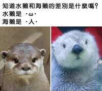 https://images.plurk.com/6HdFjHWB4TNJVUIiMBZWWI.jpg