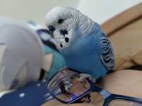 https://images.plurk.com/6HoRedhOesSAbgfiaqfgez.jpg
