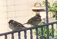 https://images.plurk.com/6I0jeVywLDa3GU5UAj32Mh.jpg
