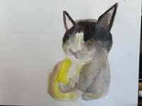 https://images.plurk.com/6I1IlTwQ9tgZnERC9L0P9E.jpg