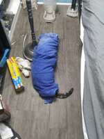 https://images.plurk.com/6I23JHHONtW5cH1VpoXmP0.jpg