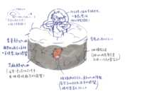 https://images.plurk.com/6I7ETsyncYOQGyDop8SosG.png