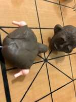 https://images.plurk.com/6IDfFxJzew6bqpsfSM7mfA.jpg