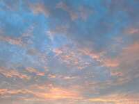 https://images.plurk.com/6IKYxhfr51gLmt2TwpKNuo.jpg
