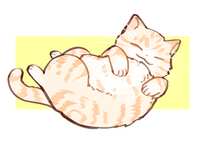 https://images.plurk.com/6IKcU8oFg0FKgn7iEf5jlX.png