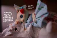 https://images.plurk.com/6IM2kHV05fT4LhOXzpqk1H.jpg