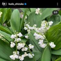 https://images.plurk.com/6ISlnsWQKcPCMEXDqq363F.jpg