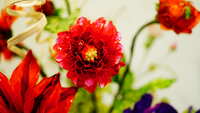 https://images.plurk.com/6InipfkkrwFdW8ftgGCgZn.jpg
