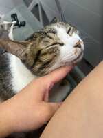 https://images.plurk.com/6IuLiE1ZCxy2Fqo0PWoKVR.jpg