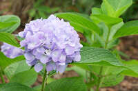 https://images.plurk.com/6IzR1ahqTykKjpP8wxlCxZ.jpg