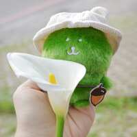 https://images.plurk.com/6J0MaTDcsHGFnh0hajqejn.jpg