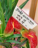 https://images.plurk.com/6J0i3lHKvZTqygM5iOvXDF.jpg