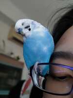 https://images.plurk.com/6J3r7N5WhGUPB6oAIAoClF.jpg