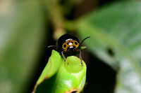 https://images.plurk.com/6J4JYJPFRX3bLQdY3kUWnB.jpg