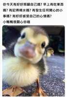 https://images.plurk.com/6J4O5x8IsxgCISlIciNJ6Z.jpg