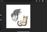 https://images.plurk.com/6J4SQsup9i9cUZ2cOeFain.png
