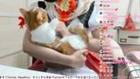 https://images.plurk.com/6JCcFe8M6N4iwS6BdOB4U6.png